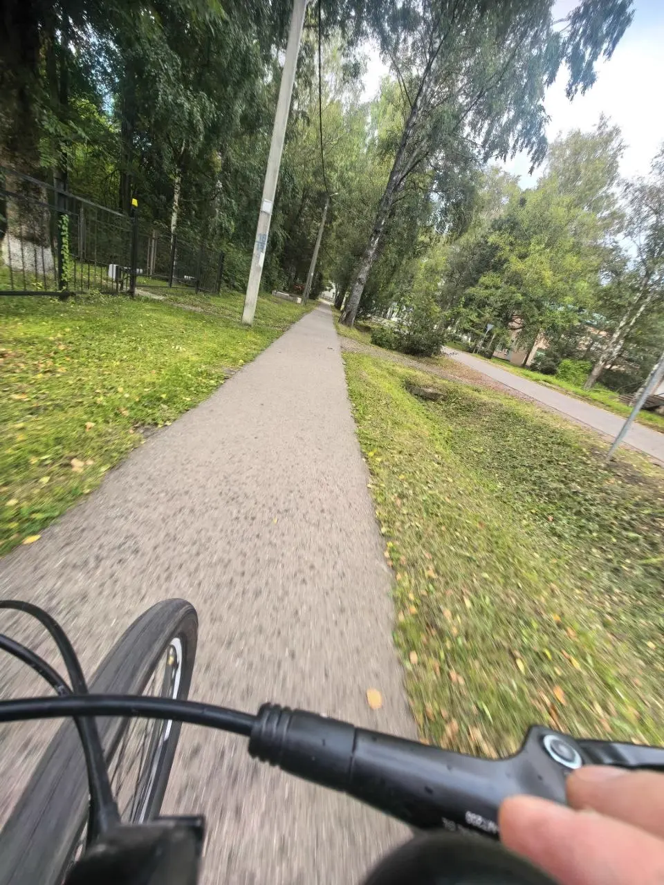 Велодорожка среди деревьев