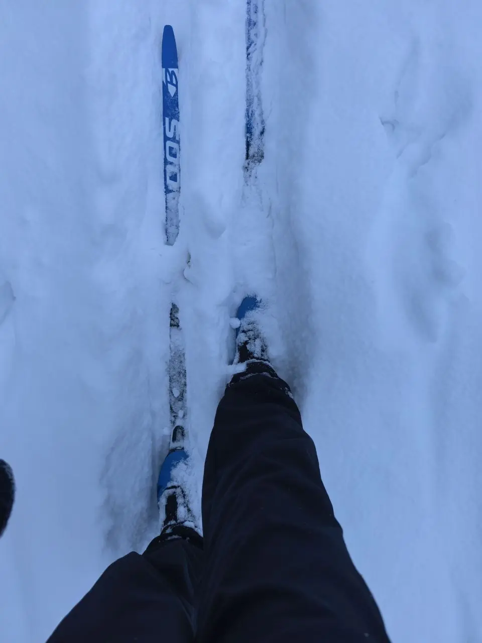The ski track heads into the forest straight from the platform: no need to walk around the village