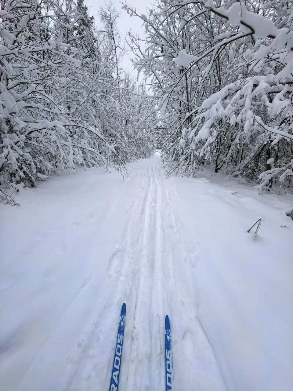 About a kilometre before the railway the groomed ski track ends