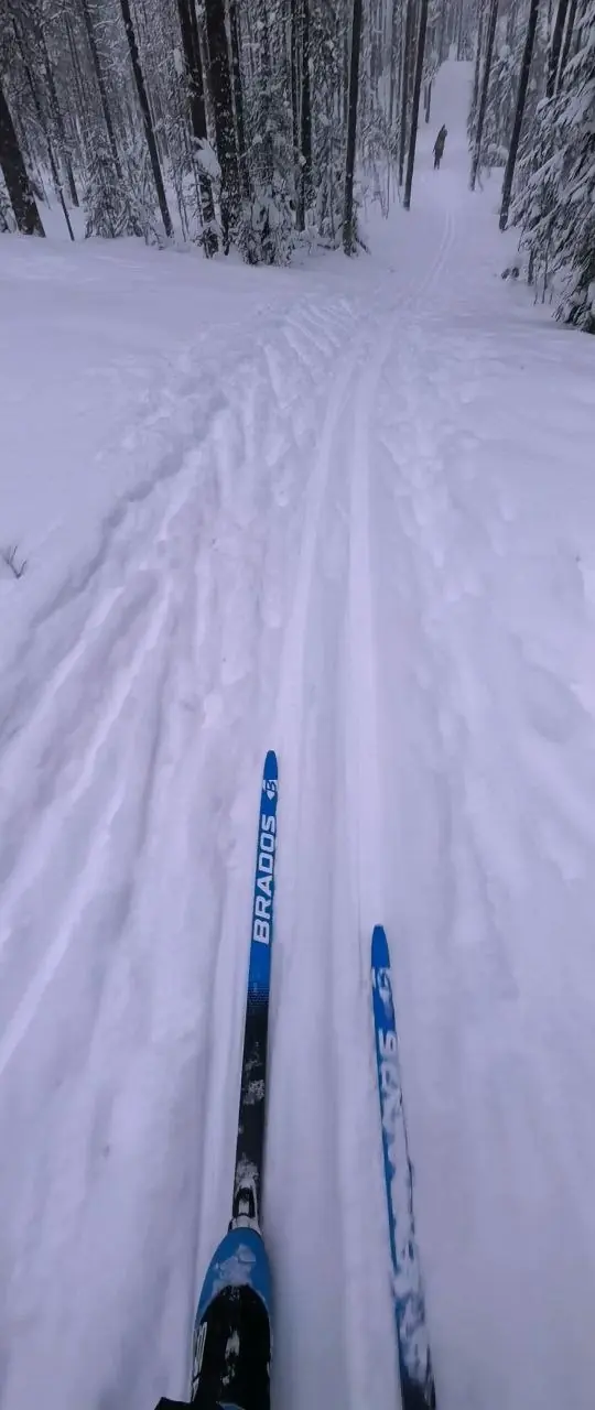 经典雪道:从自己的滑雪板看出去的视角——专业雪道就是这个样子