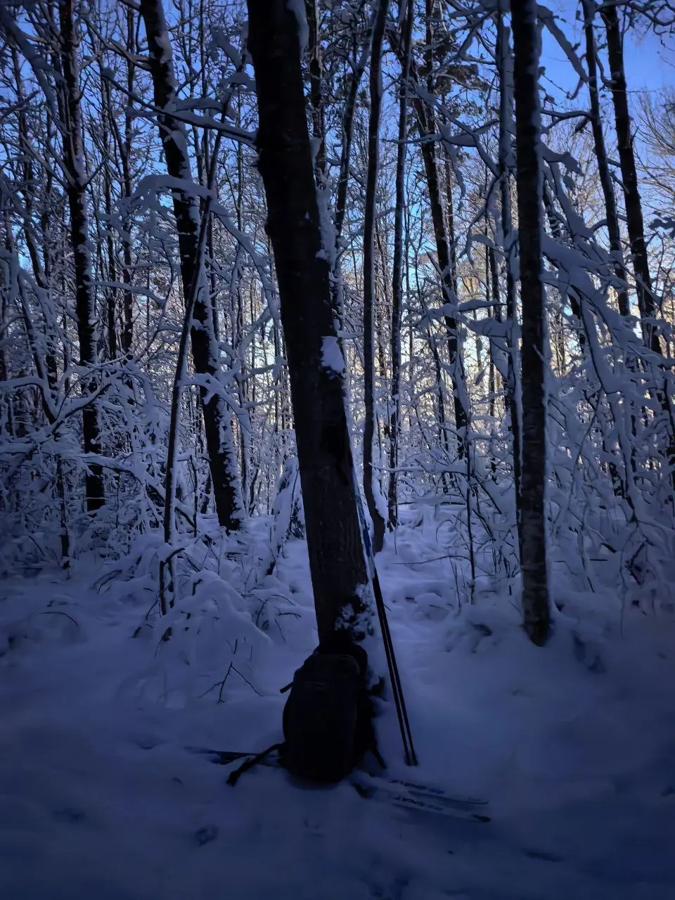 灯下的雪道:有照明的路段