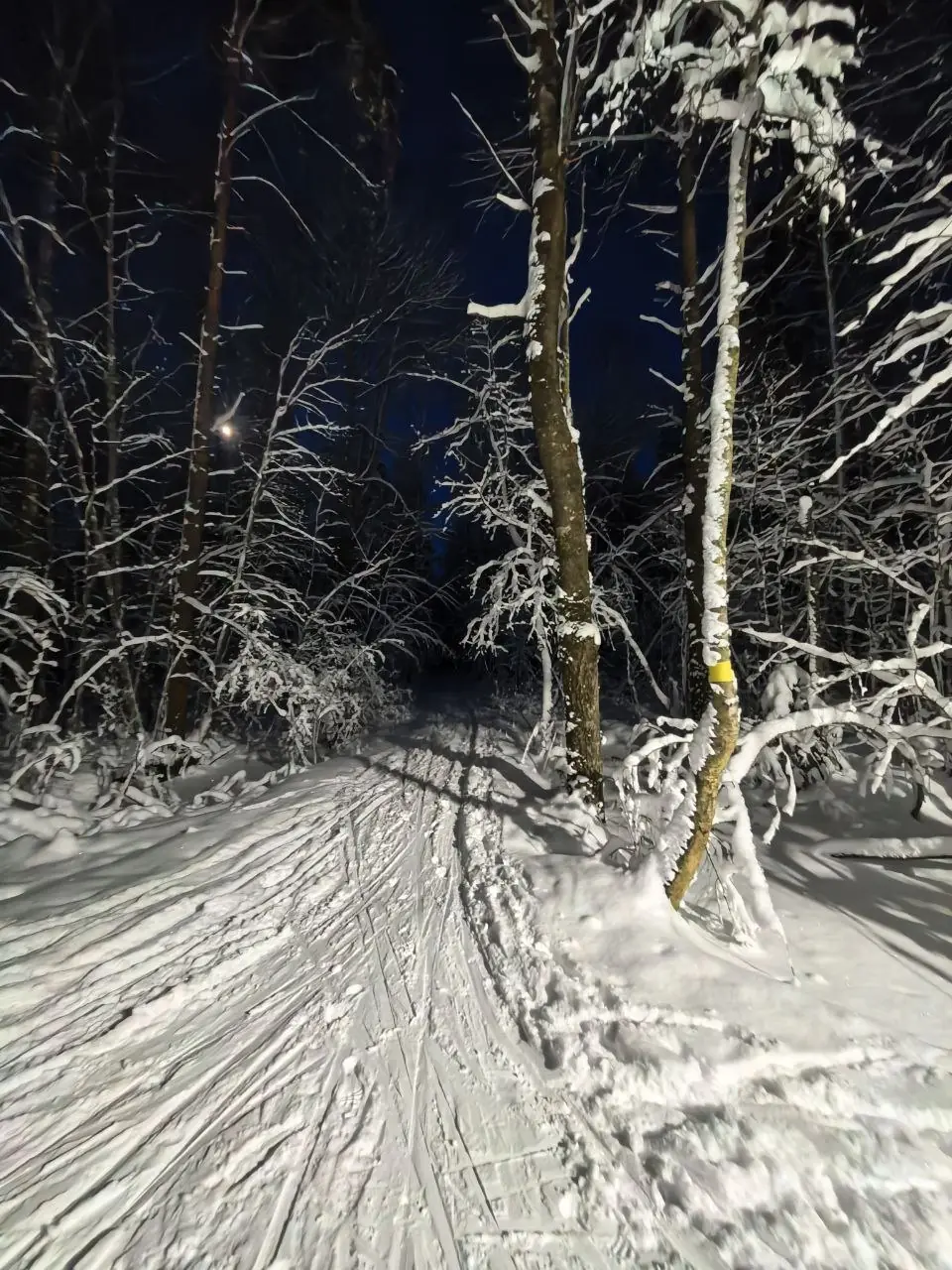 雪道上的暮色:冷光,滑雪板和脚印