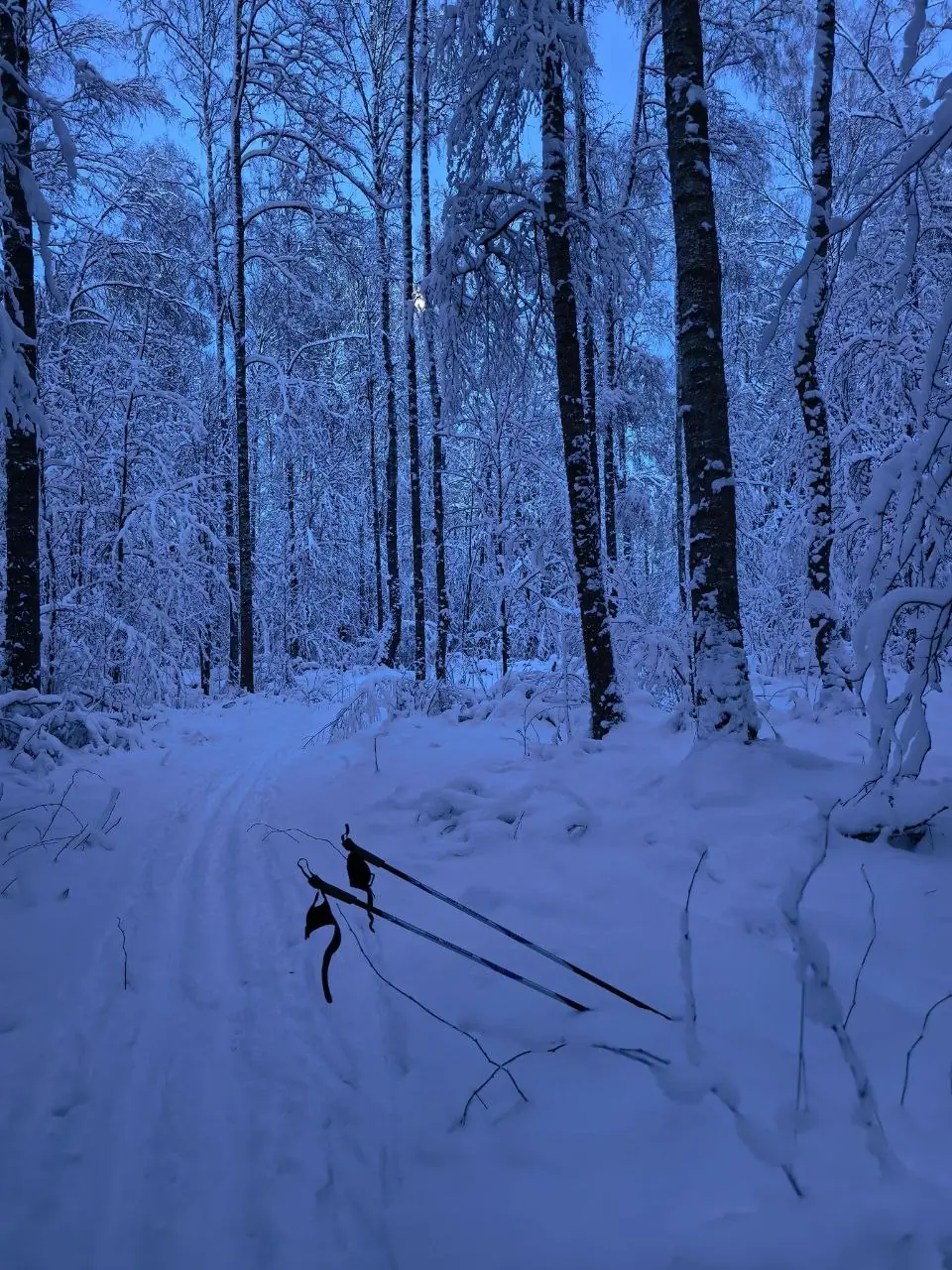 蓝调时刻,雪杖插在雪道旁的雪里
