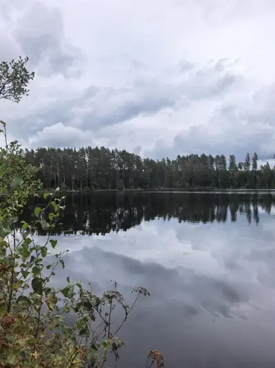 Тёмное лесное озеро, плотная стена елей и низкие облака