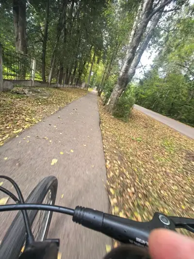 Осенняя дорога с руля велосипеда