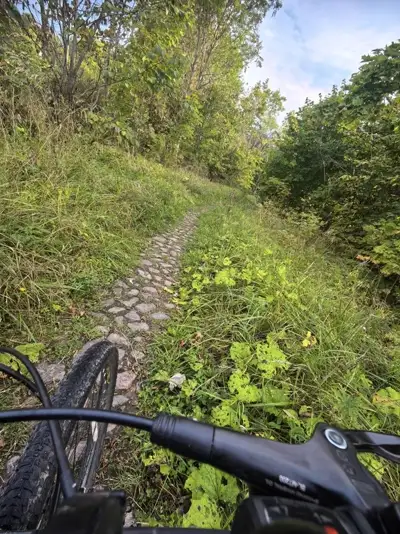 Грунтовка в лесу, тормоза Shimano