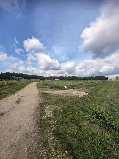 Песчаная дорога к ферме между полями