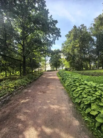 Аллея в парке усадьбы