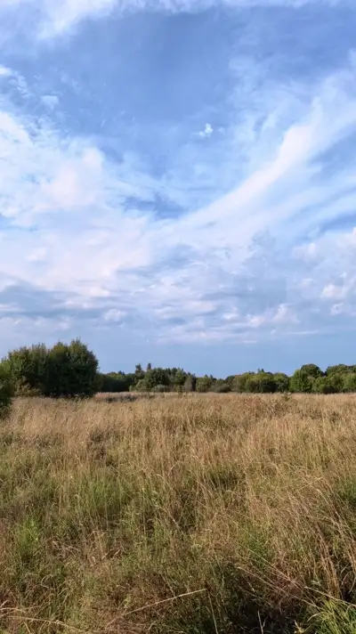 Золотое поле у каньона