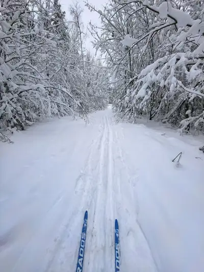Ski labyrinth near Ivanovskaya, frame 8