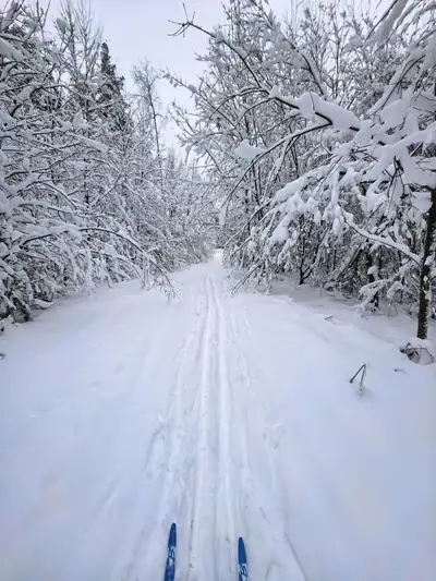Ski labyrinth near Ivanovskaya, frame 9