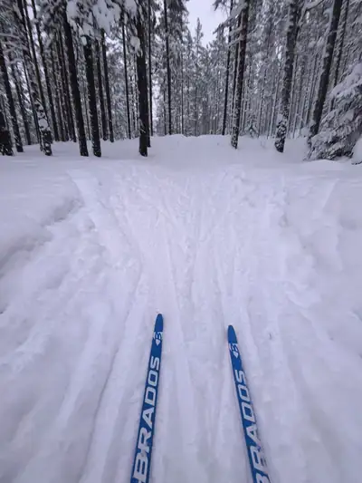 A classic ski track in Orekhovo in daylight