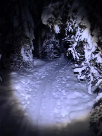 At night the track shows only in the beam of a headlamp