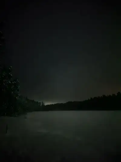 The lake and the spruce trees in the dark