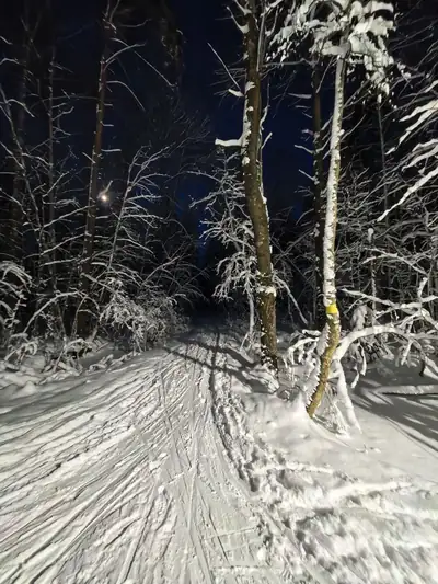 Dusk on the trail: ski and footprints in the snow