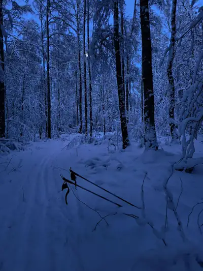 Poles lying across the path in the dark